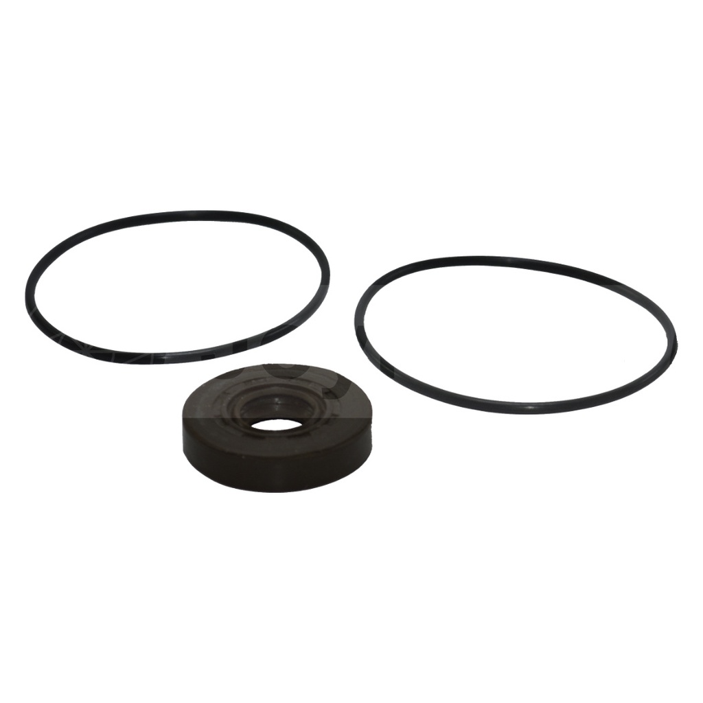 21130003-J (DP-R001) Kit de Sellos en Vitón para Bomba Serie D